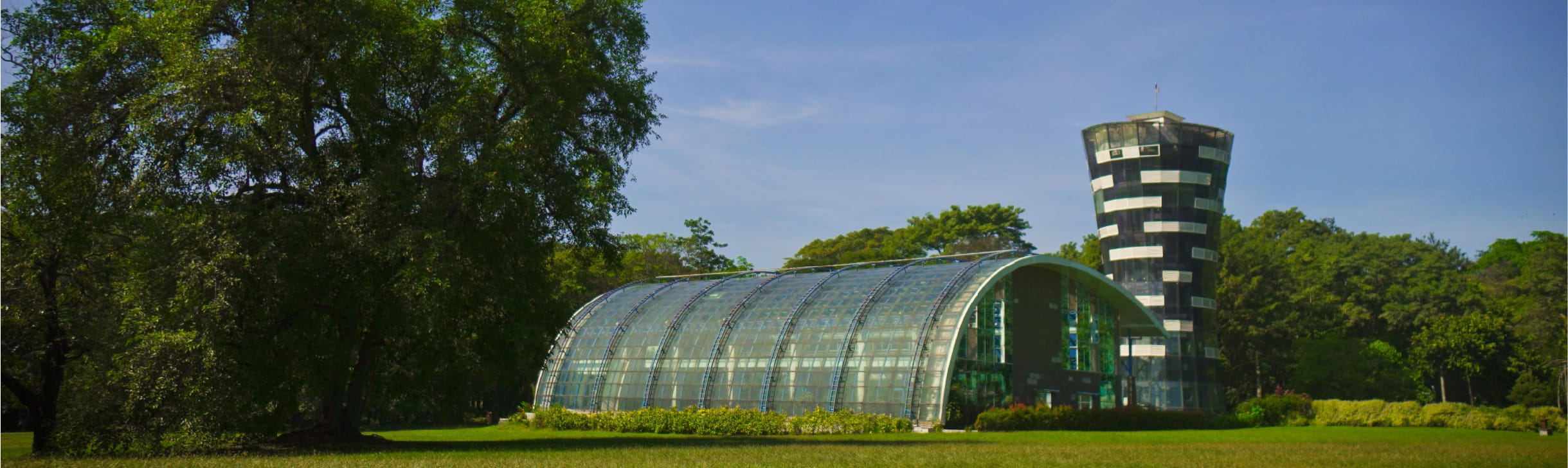 kebun raya