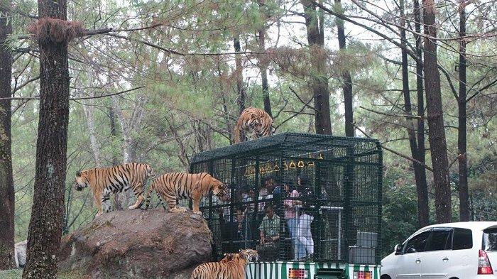 Taman Safari Prigen